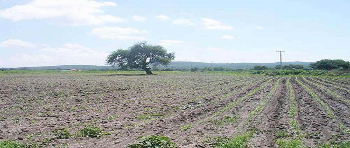 Foto de terreno habitacional en venta en  , el sáuz, tequisquiapan, querétaro, 8051018 No. 04