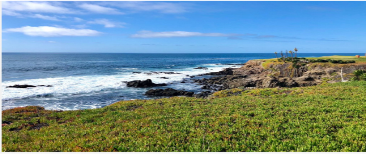 Foto de casa en venta en  , el sauzal, ensenada, baja california, 24839248 No. 03