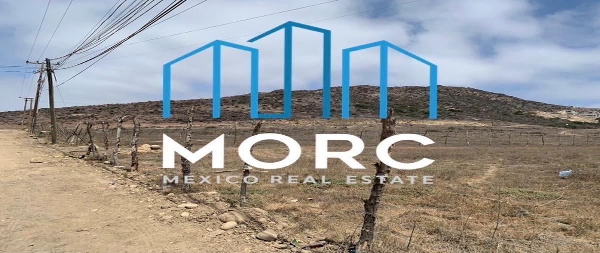 Foto de terreno habitacional en venta en  , el sauzal, ensenada, baja california, 25429795 No. 04