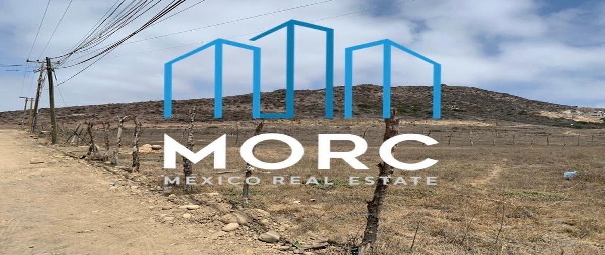 Foto de terreno habitacional en venta en  , el sauzal, ensenada, baja california, 25429795 No. 05