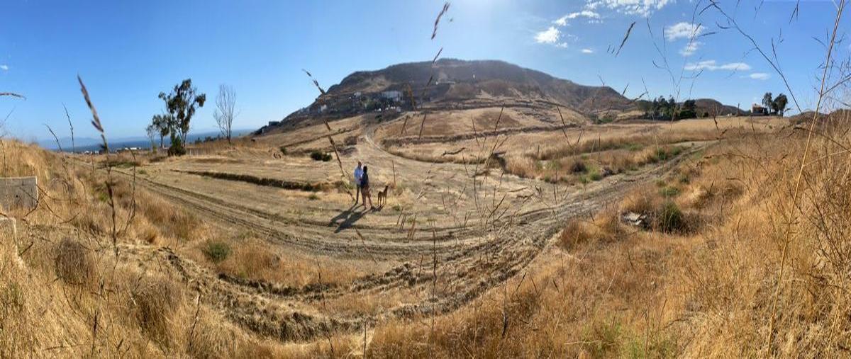 Foto de terreno habitacional en venta en  , el sauzal, ensenada, baja california, 26978937 No. 03