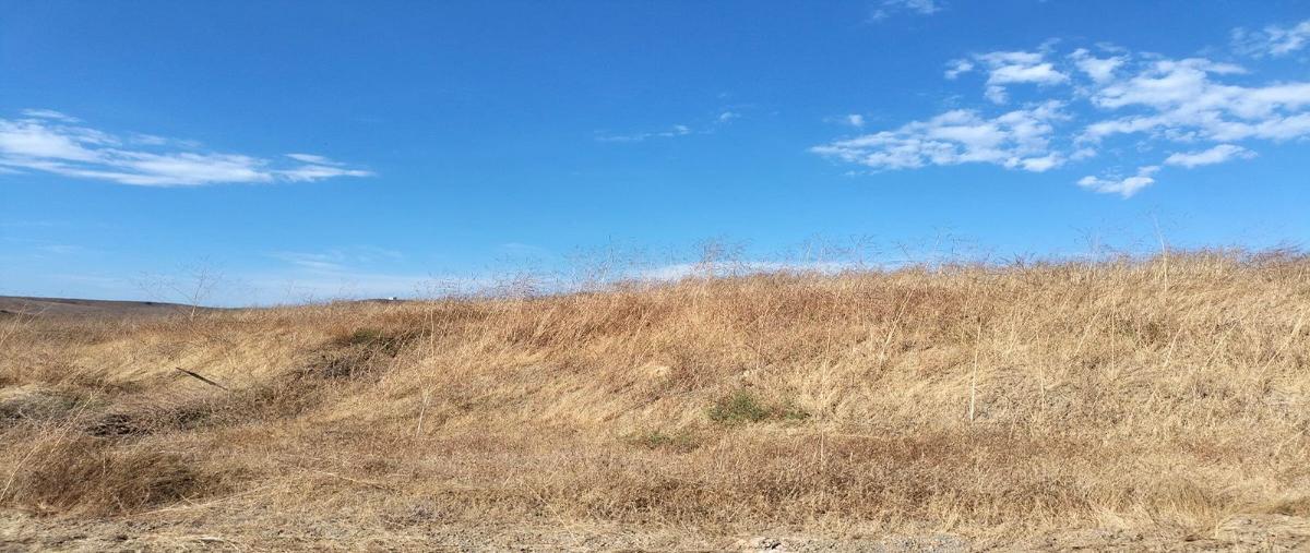 Foto de terreno habitacional en venta en  , el sauzal, ensenada, baja california, 26978937 No. 05