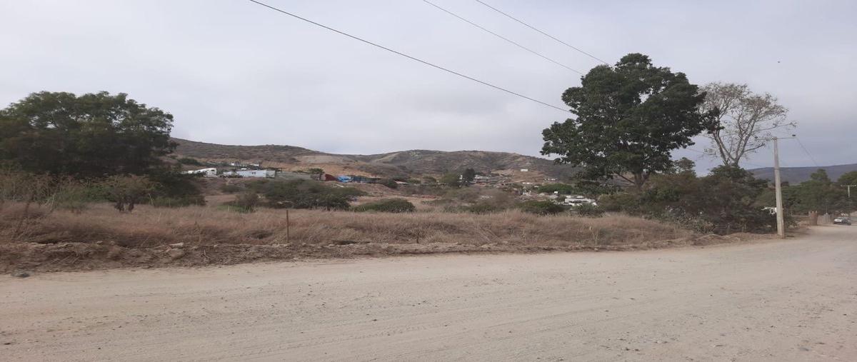 Foto de terreno habitacional en venta en  , el sauzal, ensenada, baja california, 28444783 No. 05