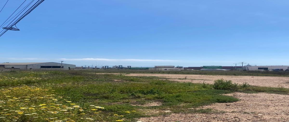 Foto de terreno habitacional en venta en  , el sauzal, ensenada, baja california, 0 No. 04