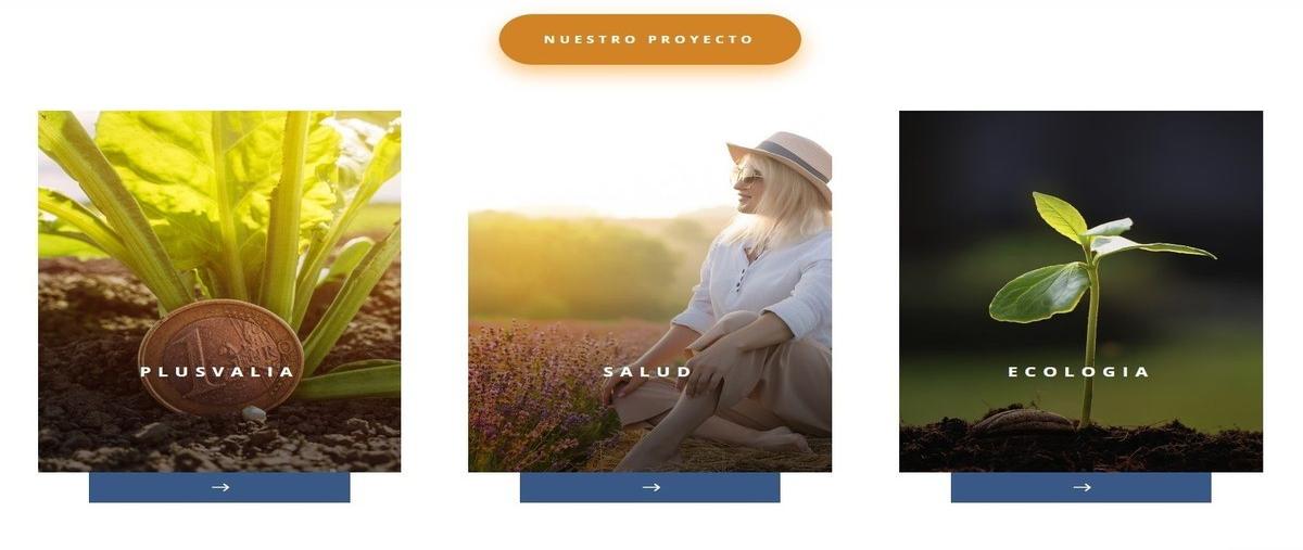 Foto de terreno habitacional en venta en  , el sauzal, ensenada, baja california, 0 No. 05