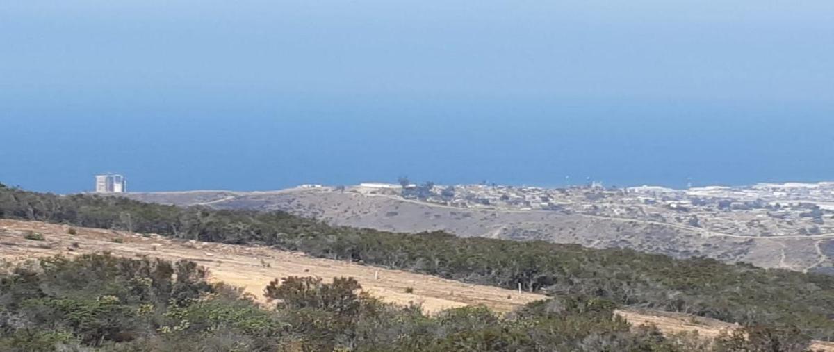 Foto de terreno habitacional en venta en  , el sauzal, ensenada, baja california, 0 No. 04