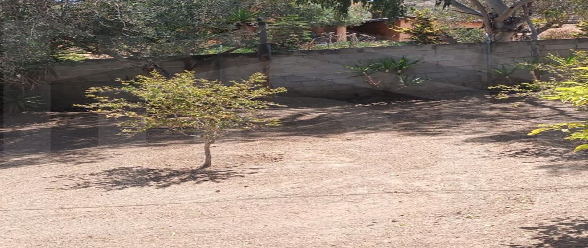 Foto de rancho en venta en  , el sauzal, ensenada, baja california, 30028298 No. 02