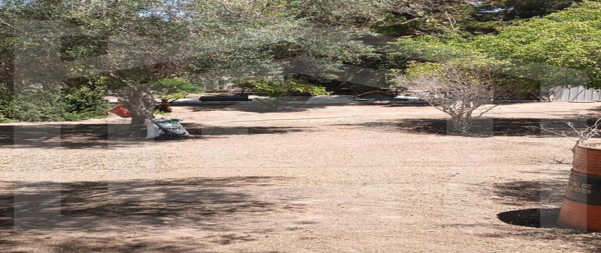 Foto de rancho en venta en  , el sauzal, ensenada, baja california, 30028298 No. 03