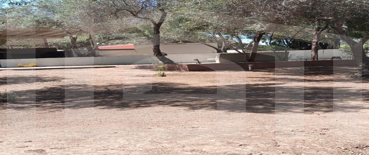 Foto de rancho en venta en  , el sauzal, ensenada, baja california, 30028298 No. 04