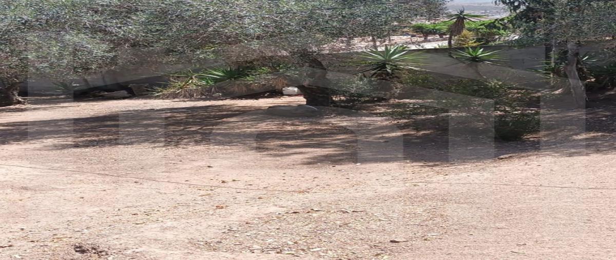 Foto de rancho en venta en  , el sauzal, ensenada, baja california, 30028298 No. 05
