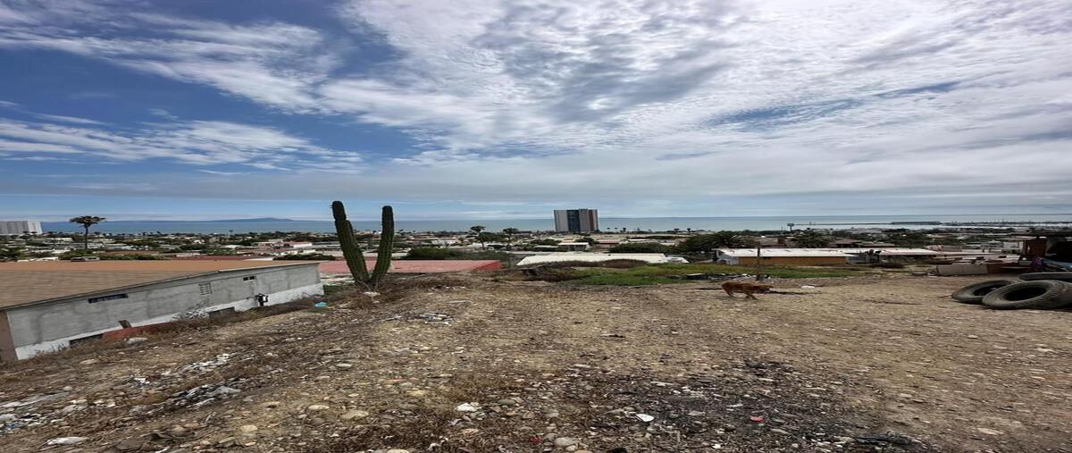 Foto de terreno habitacional en venta en  , el sauzal, ensenada, baja california, 30471018 No. 03