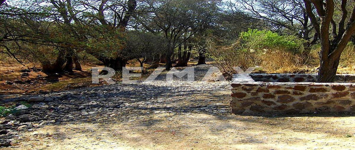 Foto de terreno industrial en venta en el secretario , el secretario, apaseo el alto, guanajuato, 29309637 No. 04