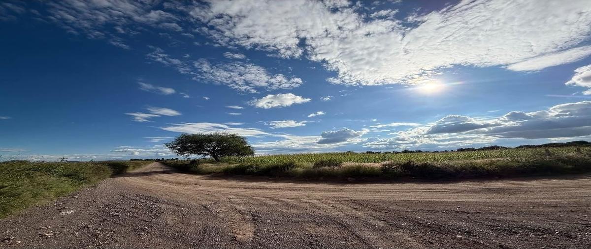 Foto de terreno habitacional en venta en el socorro , norias del paso hondo, aguascalientes, aguascalientes, 0 No. 05