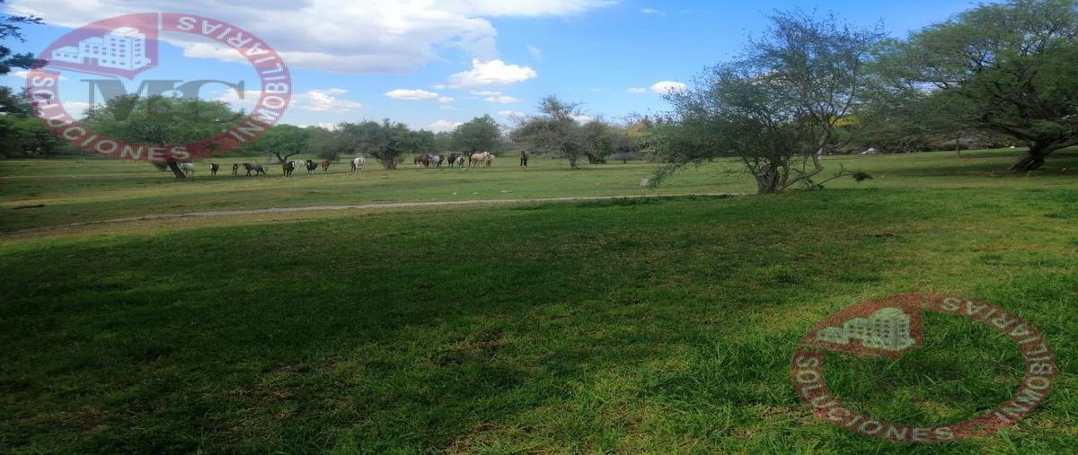 Foto de terreno habitacional en venta en  , el tanque de los jimenez, aguascalientes, aguascalientes, 0 No. 02