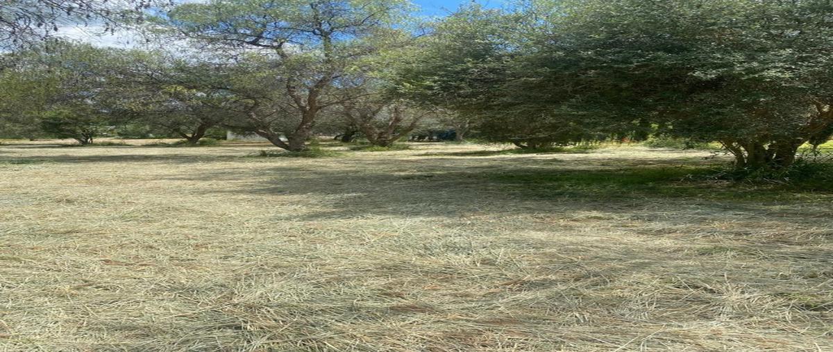 Foto de terreno habitacional en venta en  , el tanque de los jimenez, aguascalientes, aguascalientes, 30359362 No. 01