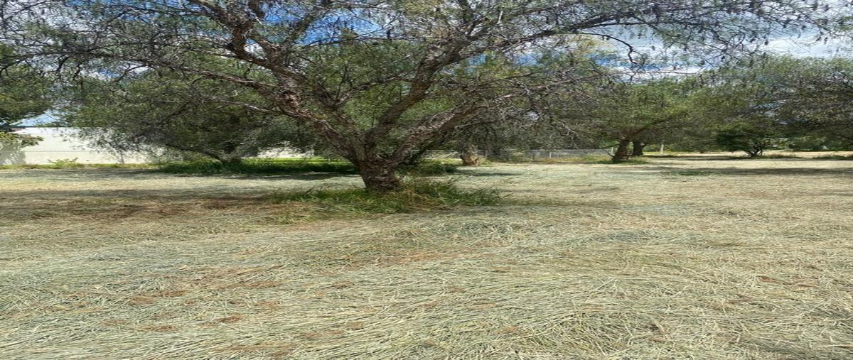 Foto de terreno habitacional en venta en  , el tanque de los jimenez, aguascalientes, aguascalientes, 30359362 No. 02