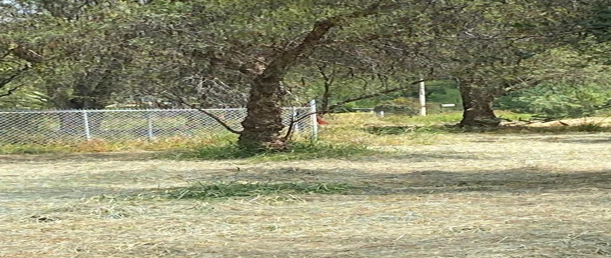 Foto de terreno habitacional en venta en  , el tanque de los jimenez, aguascalientes, aguascalientes, 30359362 No. 04