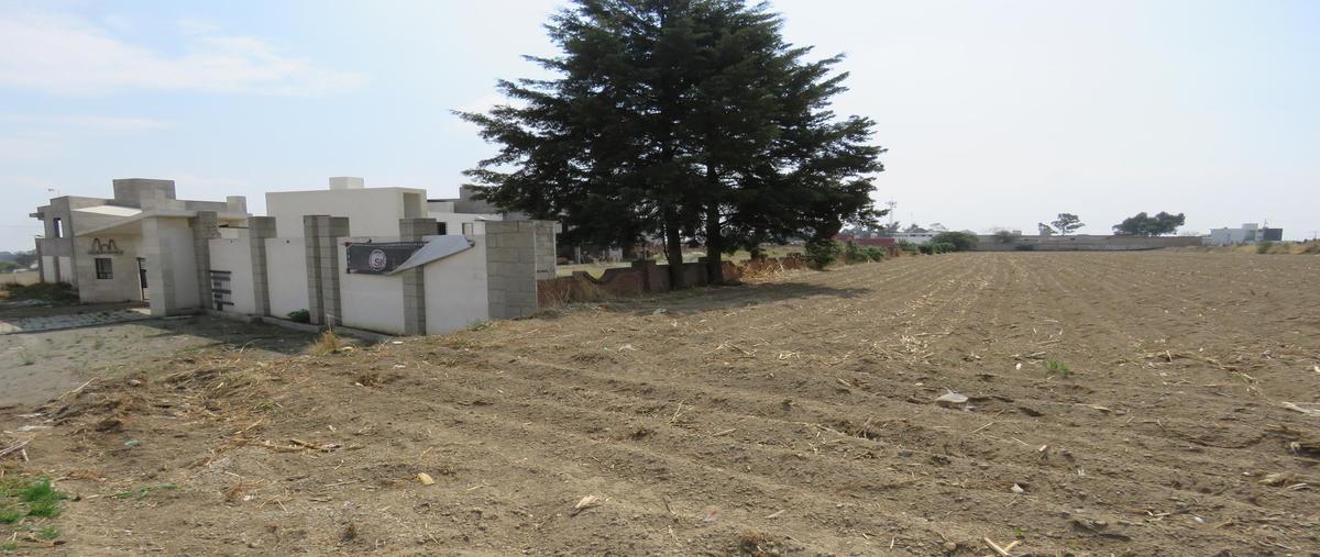 Foto de terreno habitacional en , el tarimoro, calimaya, méxico, 0 foto 01 Foto de terreno habitacional en venta en , el tarimoro, calimaya, méxico, 0 No. 01
