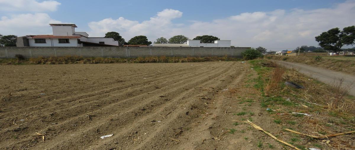 Foto de terreno habitacional en , el tarimoro, calimaya, méxico, 0 foto 02 Foto de terreno habitacional en venta en , el tarimoro, calimaya, méxico, 0 No. 02