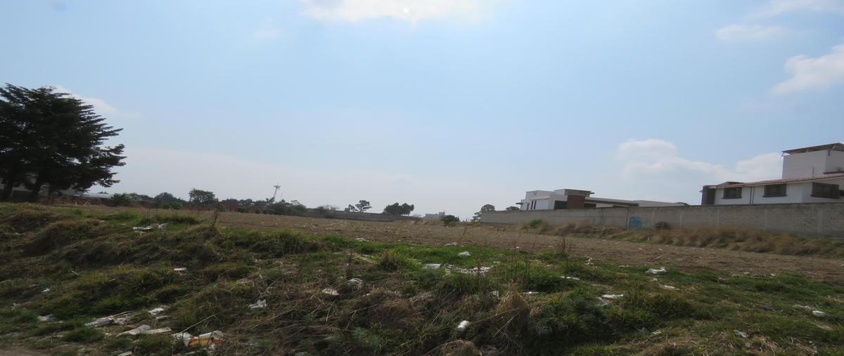 Foto de terreno habitacional en , el tarimoro, calimaya, méxico, 0 foto 03 Foto de terreno habitacional en venta en , el tarimoro, calimaya, méxico, 0 No. 03