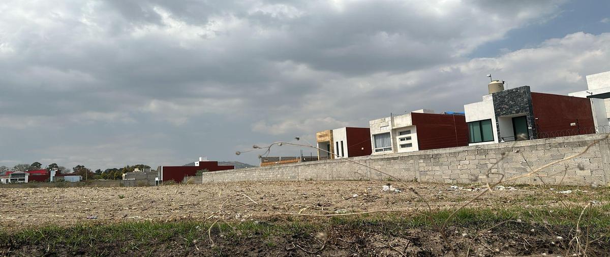 Foto de terreno habitacional en , el tarimoro, calimaya, méxico, 0 foto 05 Foto de terreno habitacional en venta en , el tarimoro, calimaya, méxico, 0 No. 05