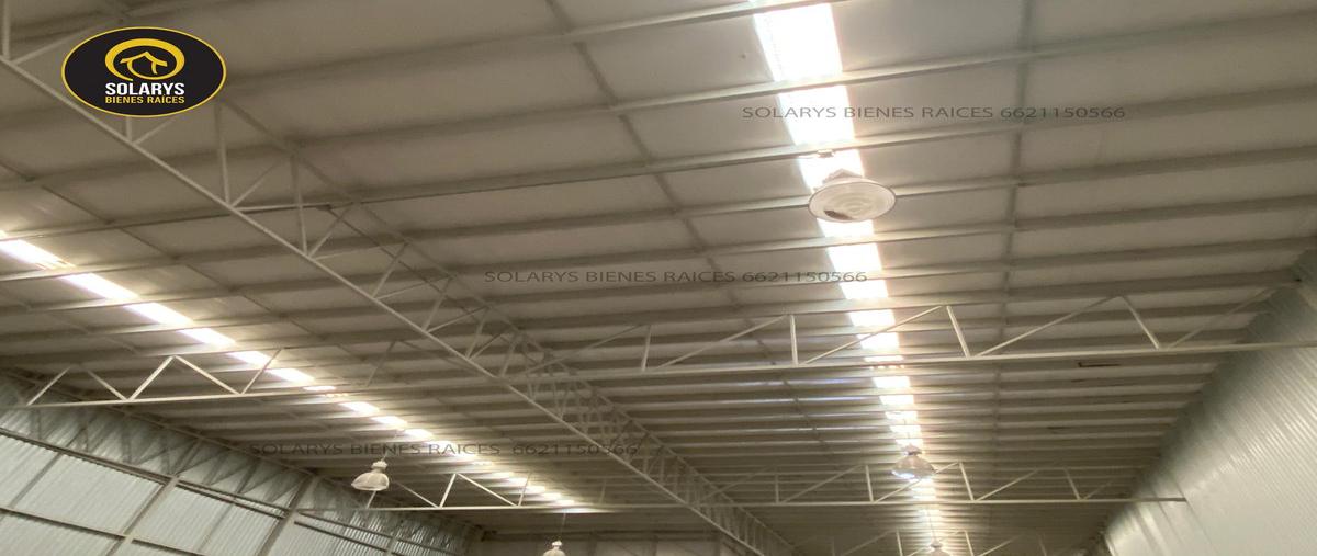 Foto de bodega en , el tazajal, hermosillo, sonora, 29069645 foto 04 Foto de bodega en renta en , el tazajal, hermosillo, sonora, 29069645 No. 04