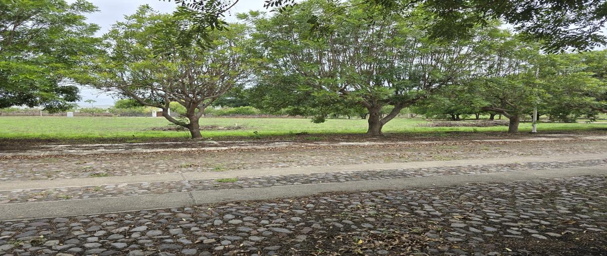 Foto de terreno habitacional en venta en  , el tecolote, colima, colima, 28343832 No. 03