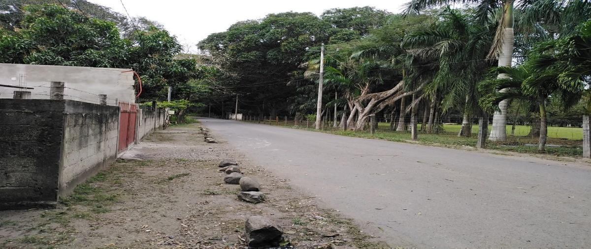 Foto de terreno habitacional en venta en el tejar , el tejar, medellín de bravo, veracruz de ignacio de la llave, 23891555 No. 03