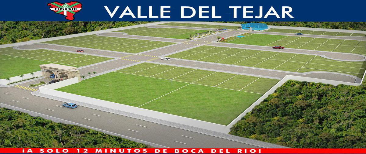 Foto de terreno habitacional en venta en  , el tejar, medellín de bravo, veracruz de ignacio de la llave, 26191721 No. 05