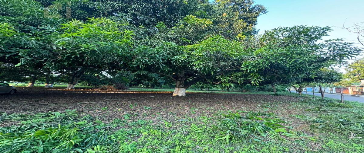 Foto de terreno habitacional en venta en  , el tejar, medellín de bravo, veracruz de ignacio de la llave, 0 No. 04