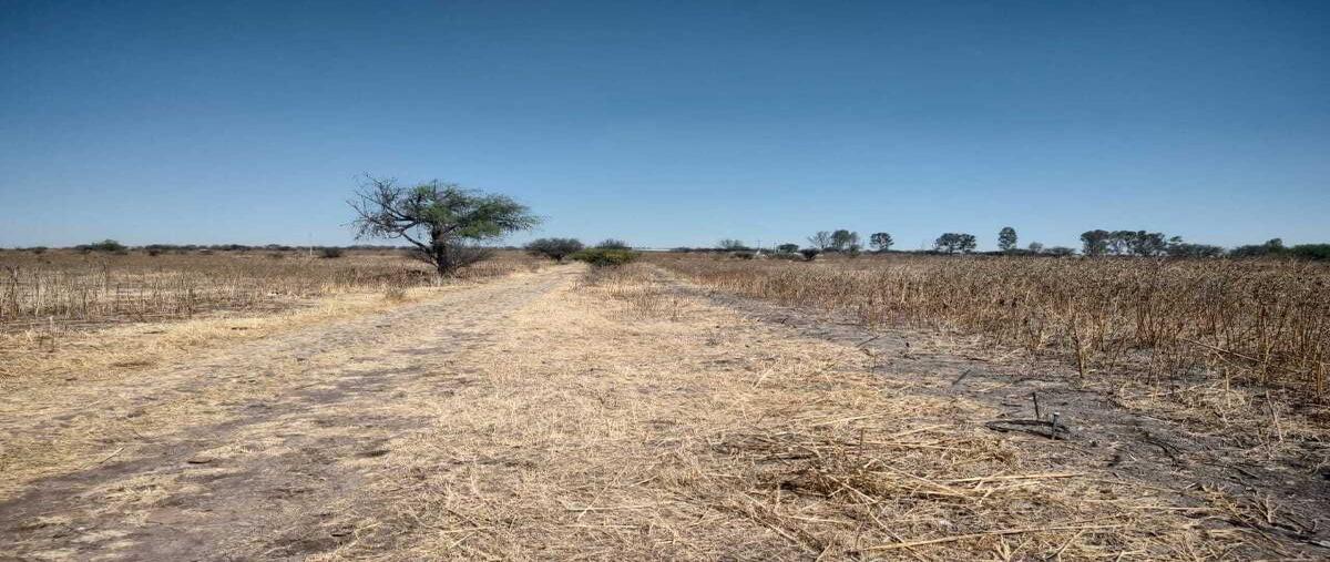 Foto de terreno habitacional en venta en el tejocote , el tejocote, tequisquiapan, querétaro, 0 No. 03