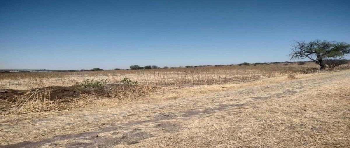 Foto de terreno habitacional en venta en el tejocote , el tejocote, tequisquiapan, querétaro, 0 No. 04