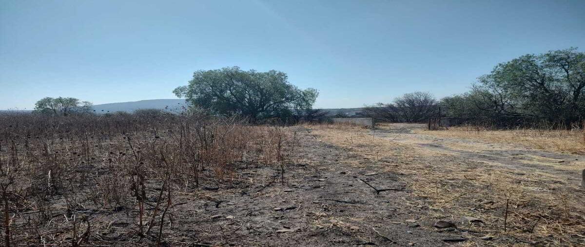 Foto de terreno habitacional en venta en el tejocote , el tejocote, tequisquiapan, querétaro, 0 No. 05