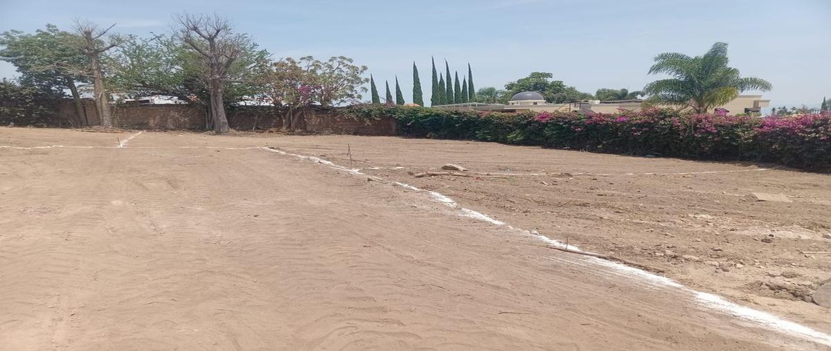 Foto de terreno habitacional en venta en el tépalo 9, ajijic centro, chapala, jalisco, 0 No. 03