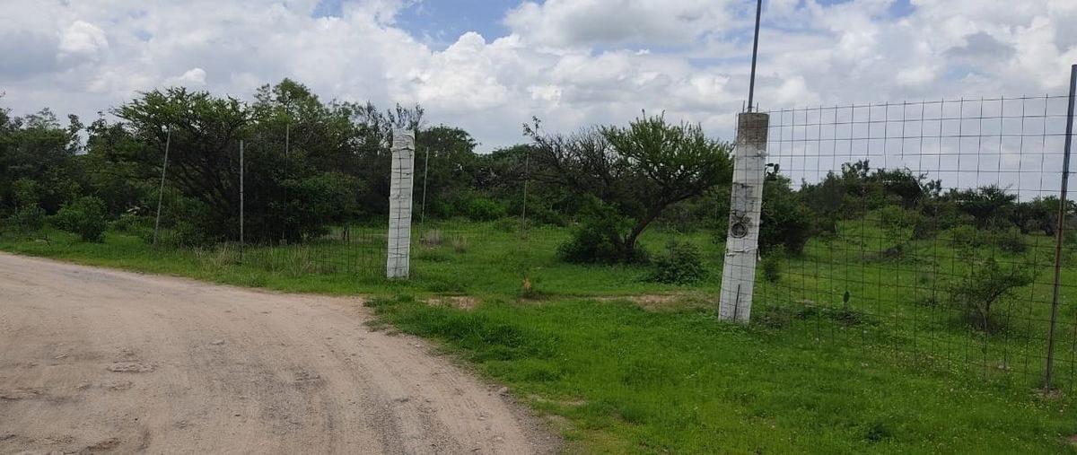 Foto de terreno habitacional en venta en  , el tepame, lagos de moreno, jalisco, 28472421 No. 03