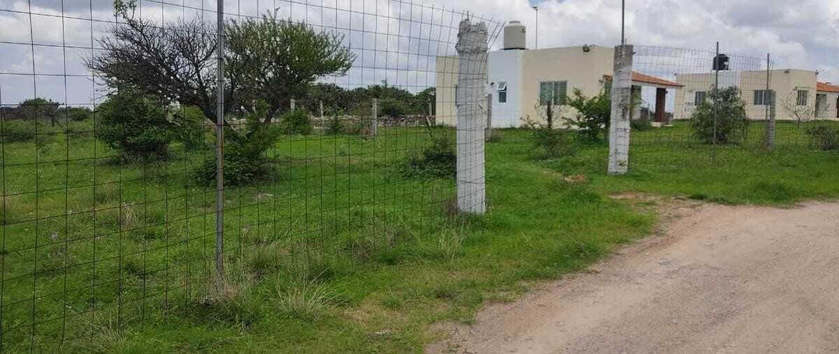 Foto de terreno habitacional en venta en  , el tepame, lagos de moreno, jalisco, 28472421 No. 05