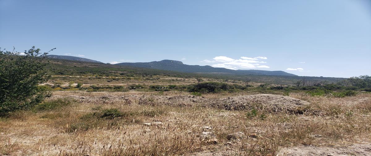 Foto de terreno habitacional en venta en el tepetate , el tepetate, san josé iturbide, guanajuato, 28830159 No. 03