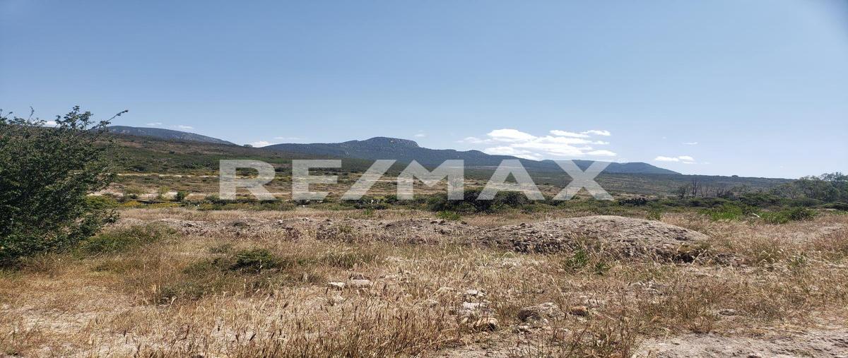 Foto de terreno habitacional en venta en el tepetate , el tepetate, san josé iturbide, guanajuato, 0 No. 03