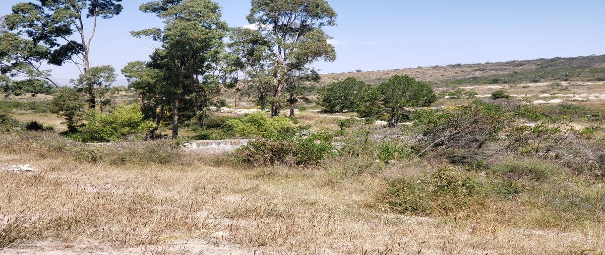 Foto de terreno habitacional en venta en el tepetate , el tepetate, san josé iturbide, guanajuato, 28830159 No. 04