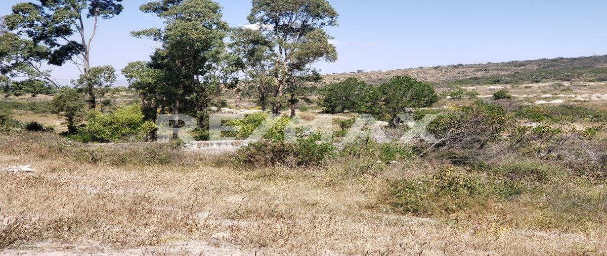 Foto de terreno habitacional en venta en el tepetate , el tepetate, san josé iturbide, guanajuato, 0 No. 04