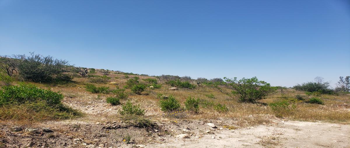 Foto de terreno habitacional en venta en el tepetate , el tepetate, san josé iturbide, guanajuato, 28830159 No. 05