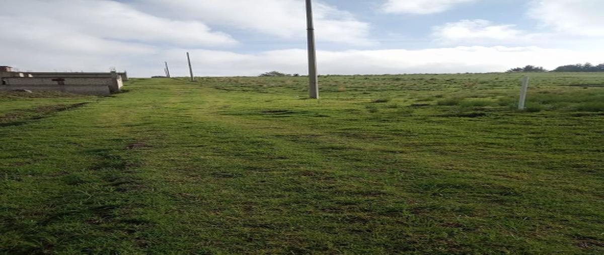 Foto de terreno habitacional en venta en el tepetetal 25, san francisco tlalcilalcalpan, almoloya de juárez, méxico, 24878069 No. 05