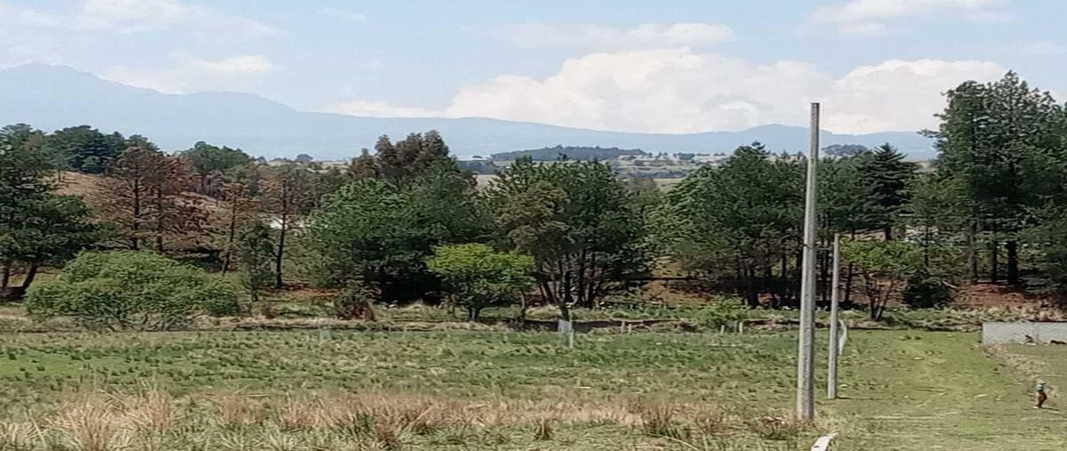 Foto de terreno habitacional en venta en el tepetetal 26, san francisco tlalcilalcalpan, almoloya de juárez, méxico, 26737270 No. 03