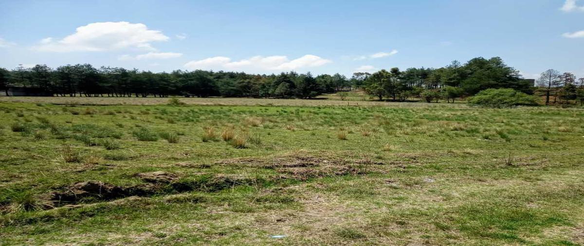 Foto de terreno habitacional en venta en el tepetetal 26, san francisco tlalcilalcalpan, almoloya de juárez, méxico, 26737270 No. 04