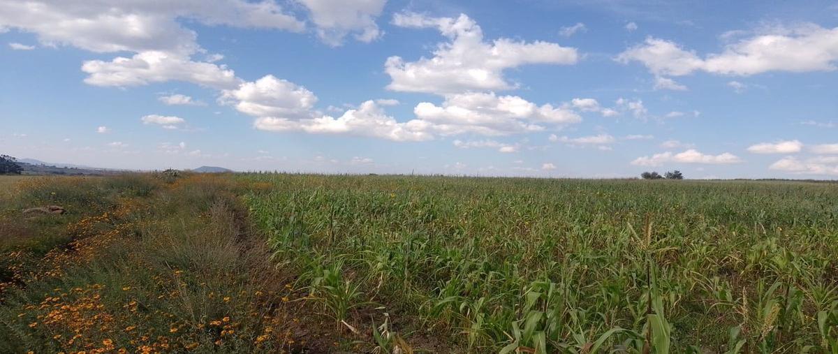 Foto de terreno habitacional en venta en  , el tepozán (barrio de san ildefonso), amealco de bonfil, querétaro, 25937420 No. 03