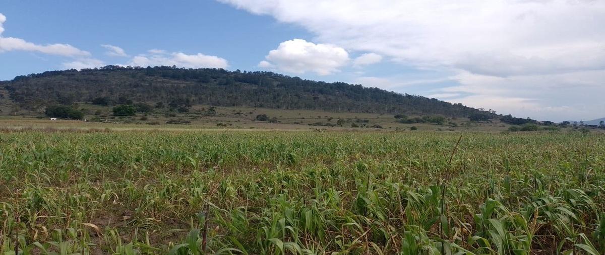Foto de terreno habitacional en venta en  , el tepozán (barrio de san ildefonso), amealco de bonfil, querétaro, 25937420 No. 04