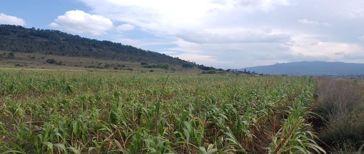 Foto de terreno habitacional en venta en  , el tepozán (barrio de san ildefonso), amealco de bonfil, querétaro, 25937420 No. 05
