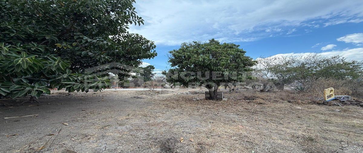 Foto de terreno industrial en el terreno , santa rosa del valle, el salto, jalisco, 30935103 foto 05 Foto de terreno industrial en renta en el terreno , santa rosa del valle, el salto, jalisco, 30935103 No. 05