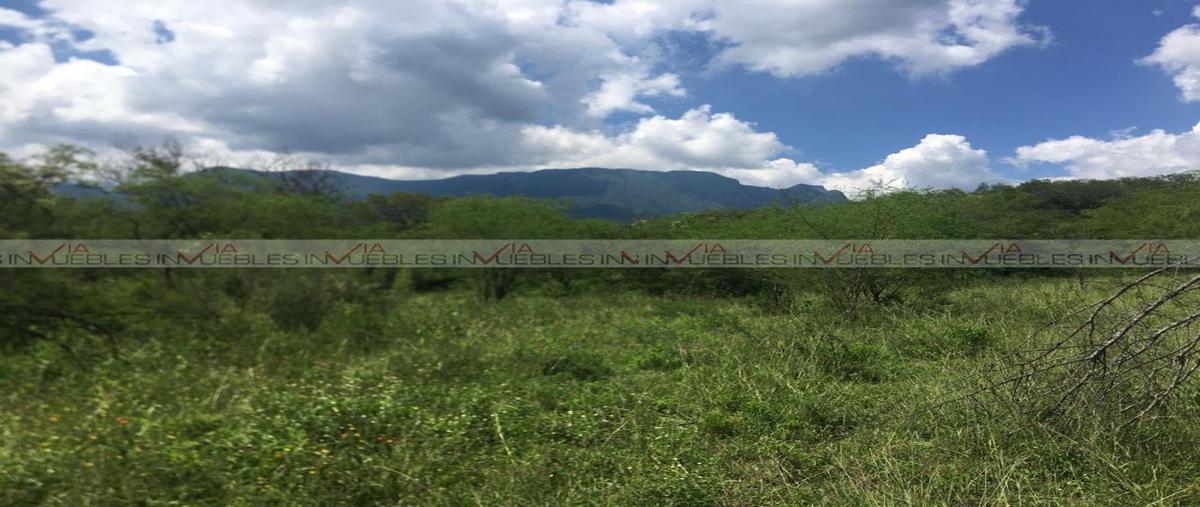 Foto de terreno industrial en , el terrero, montemorelos, nuevo león, 30351045 foto 02 Foto de terreno industrial en venta en , el terrero, montemorelos, nuevo león, 30351045 No. 02