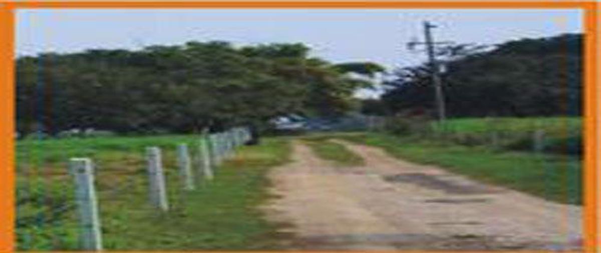 Foto de terreno habitacional en , el terrero, pánuco, veracruz de ignacio de la llave, 8475107 foto 02 Foto de terreno habitacional en venta en , el terrero, pánuco, veracruz de ignacio de la llave, 8475107 No. 02